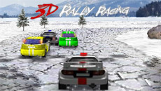 3D Rally racing